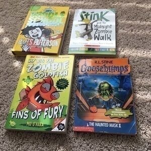 Boys chapter book bundle
